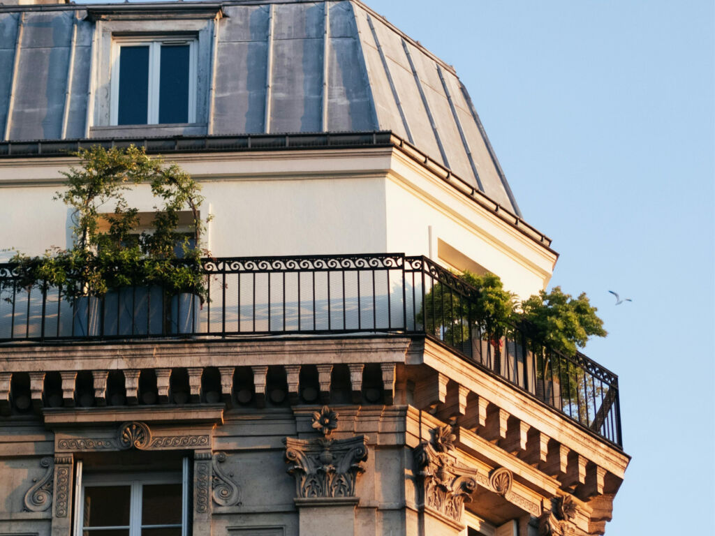 Conseils-Paysagiste-Paris-Agave-Paysage-Amenager-Petit-Balcon