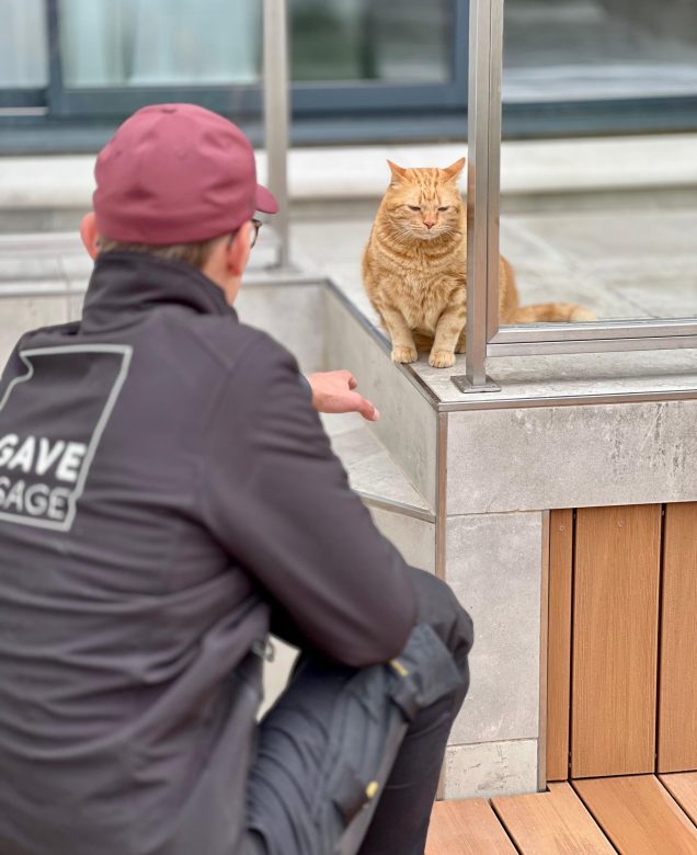 valentin-chat-terrasse-agave-paysage-architecte-paysagiste-paris